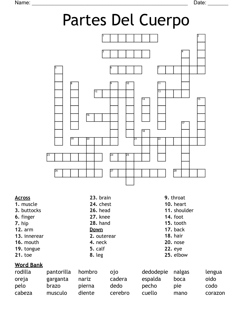 Partes Del Cuerpo Crossword