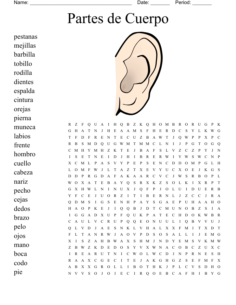 Partes de Cuerpo Word Search