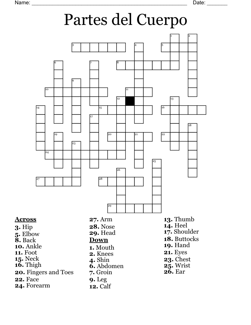 Partes del Cuerpo Crossword