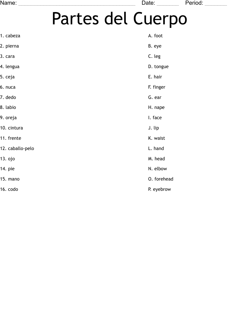 Partes del Cuerpo Worksheet