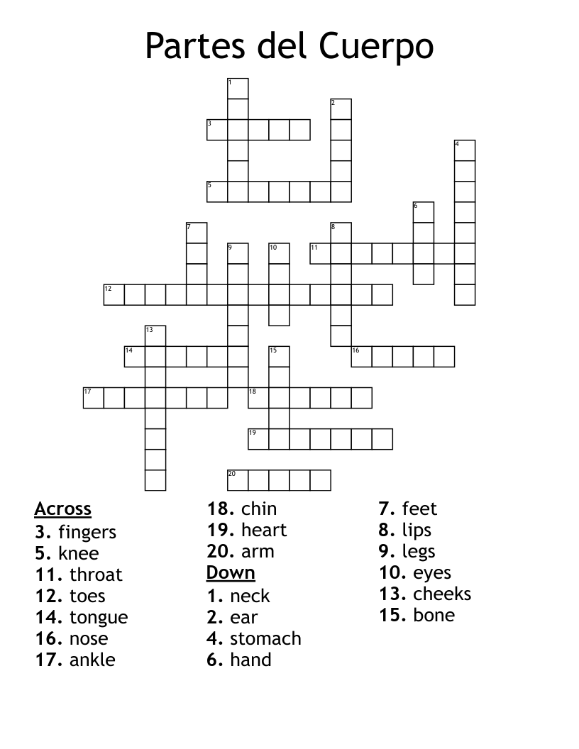 Partes del Cuerpo Crossword