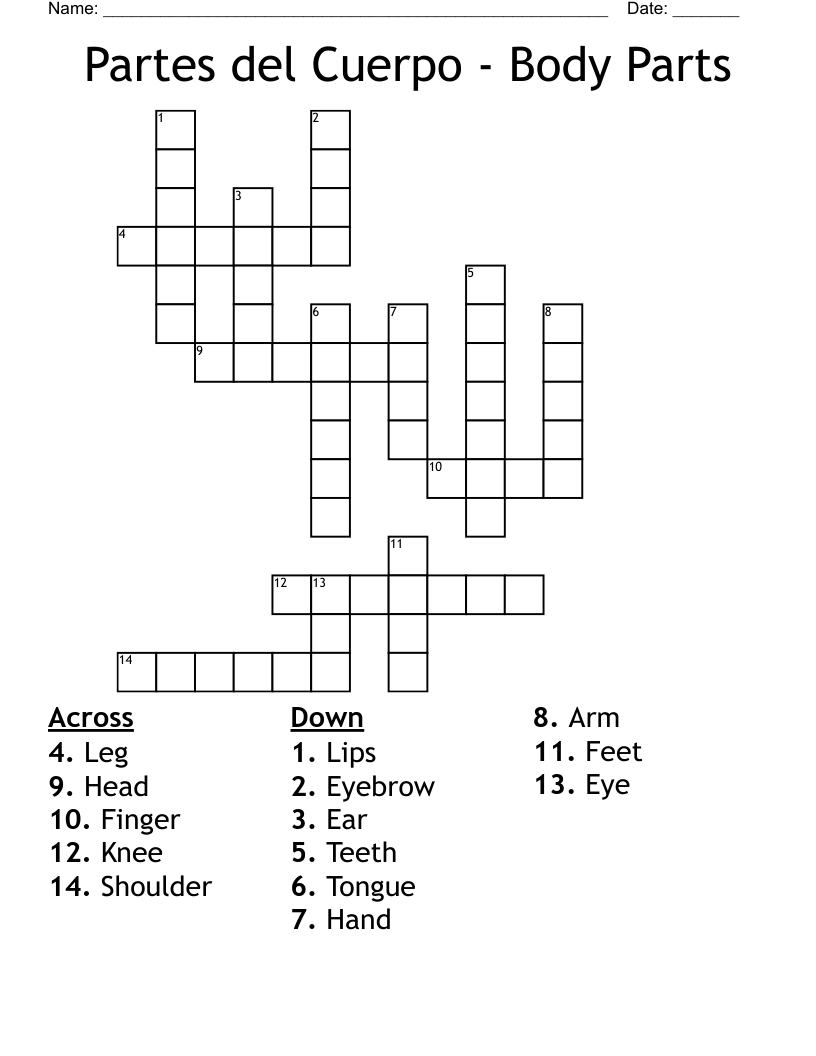 Partes del Cuerpo - Body Parts Crossword