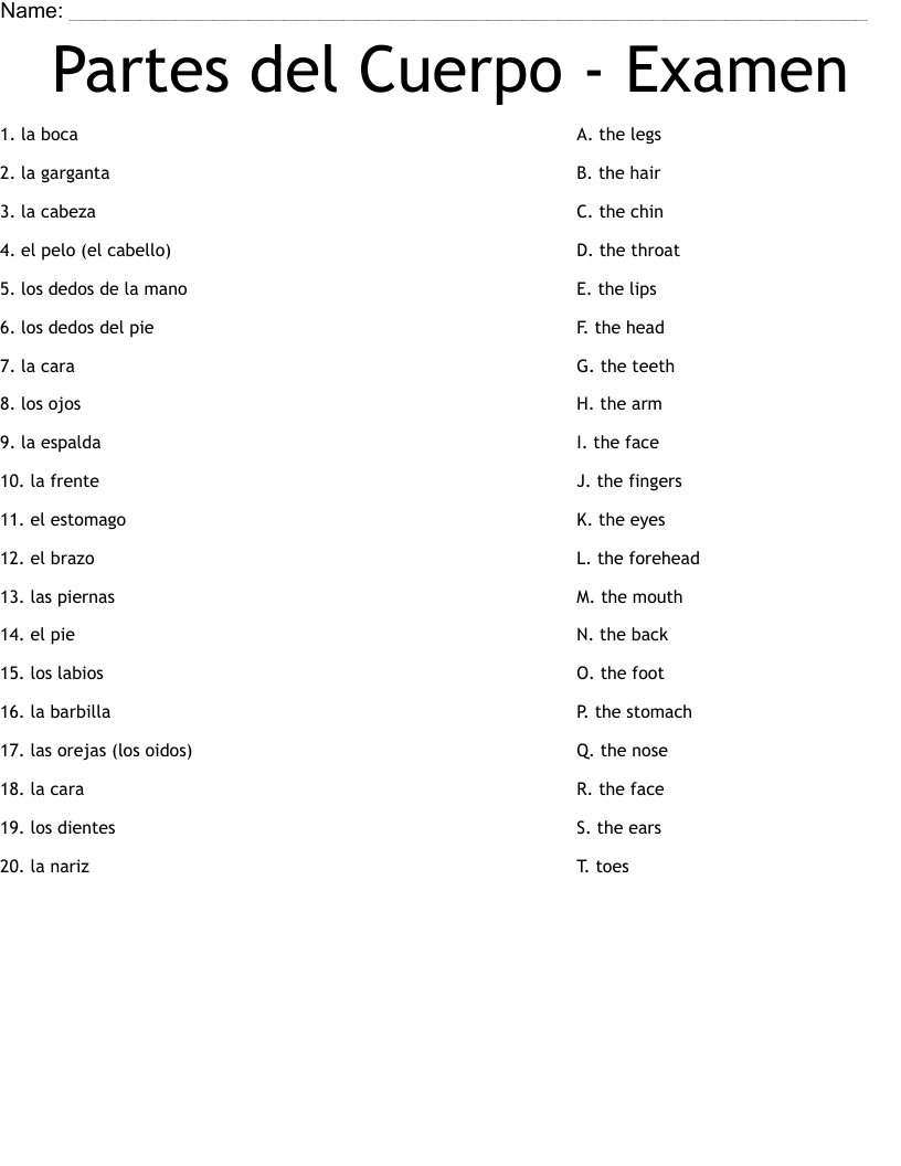 Partes del Cuerpo - Examen Worksheet