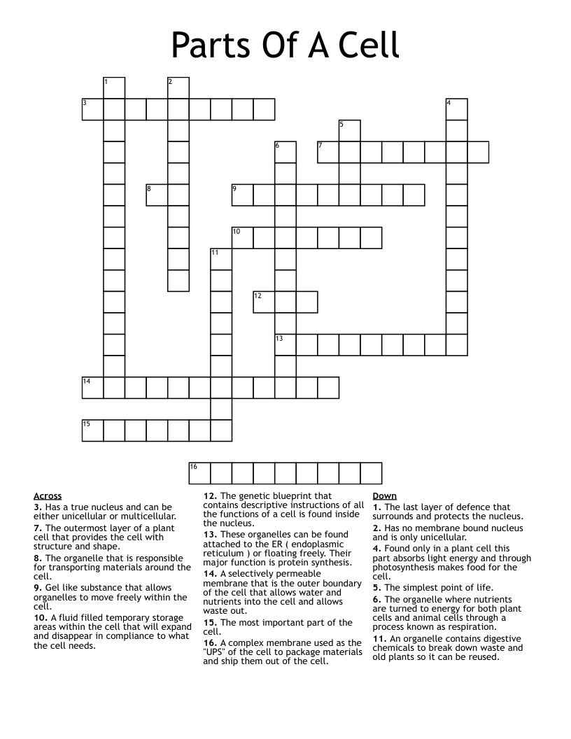 Parts Of A Cell Crossword