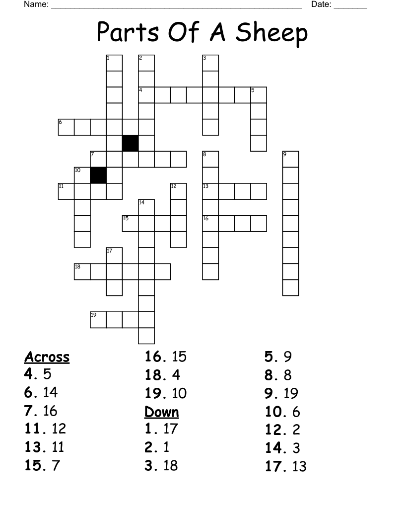 Parts Of A Sheep Crossword