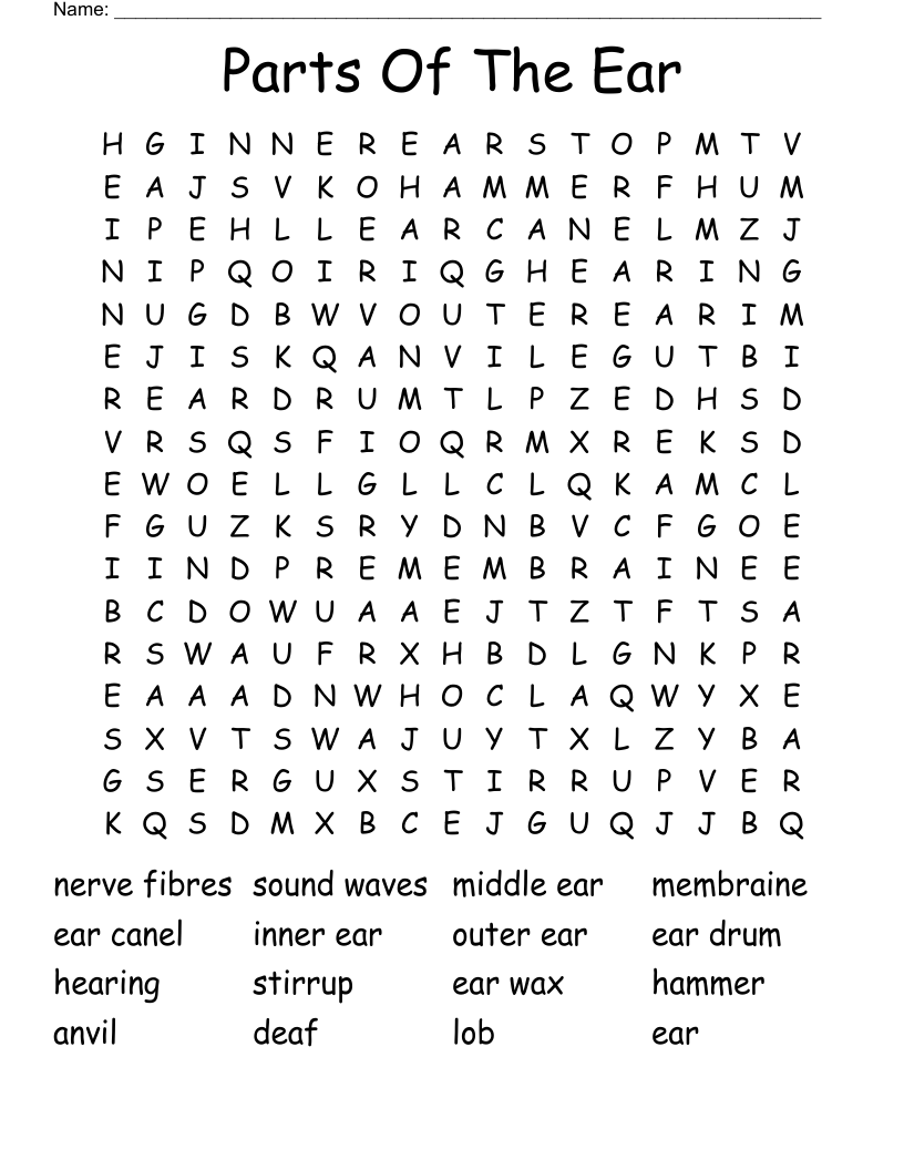 Parts Of The Ear Word Search