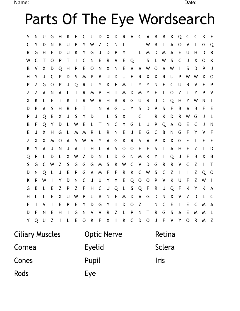 Parts Of The Eye Wordsearch