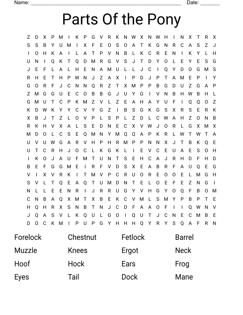 Parts Of the Pony Word Search