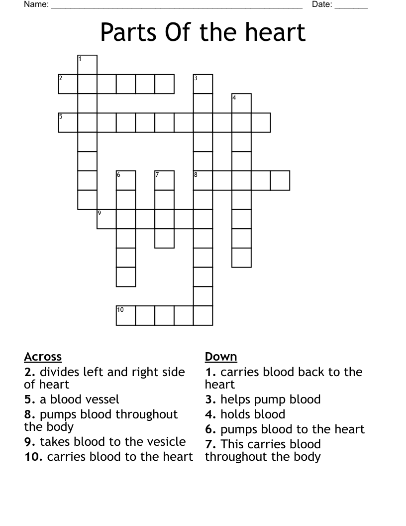 Parts Of the heart Crossword