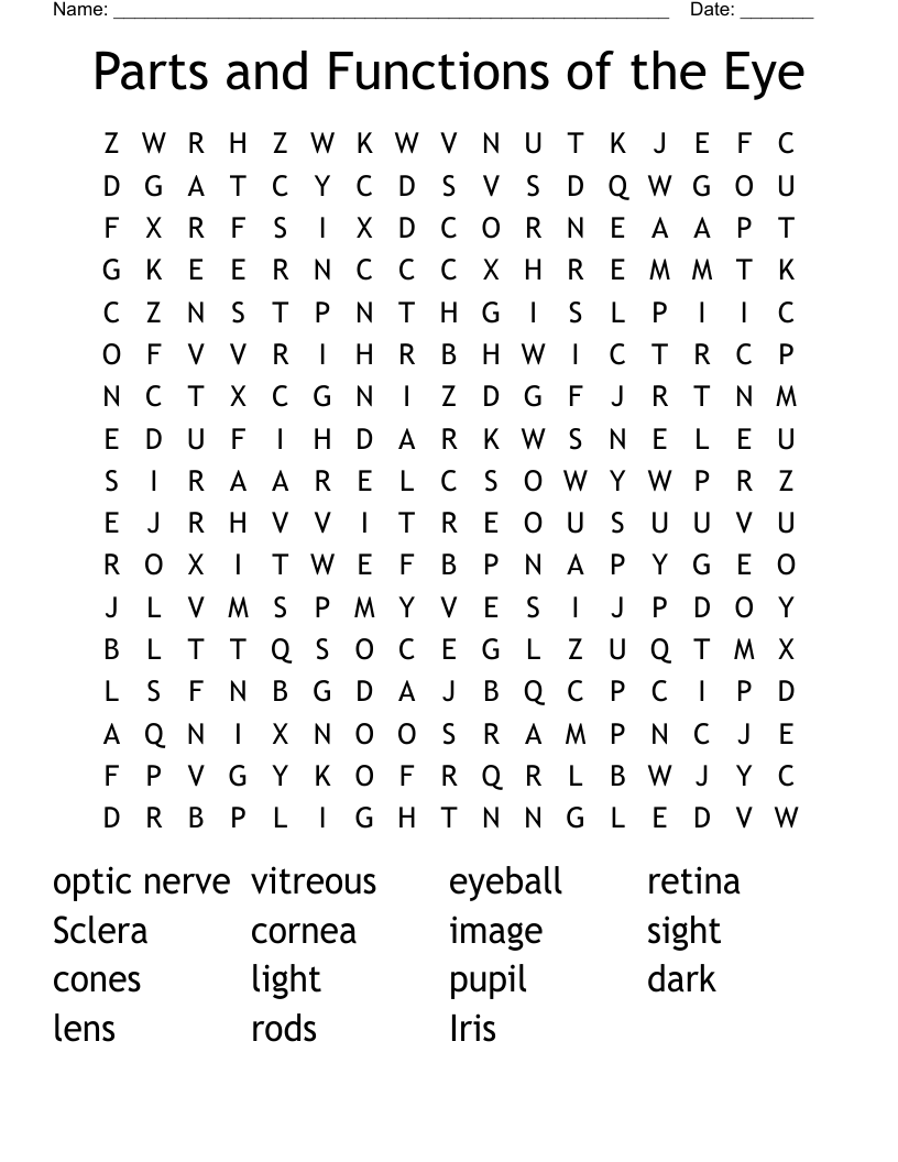 Parts and Functions of the Eye Word Search