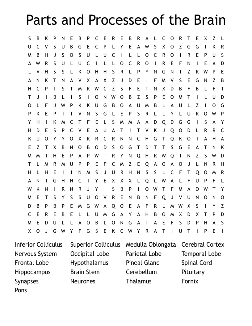 Parts and Processes of the Brain Word Search