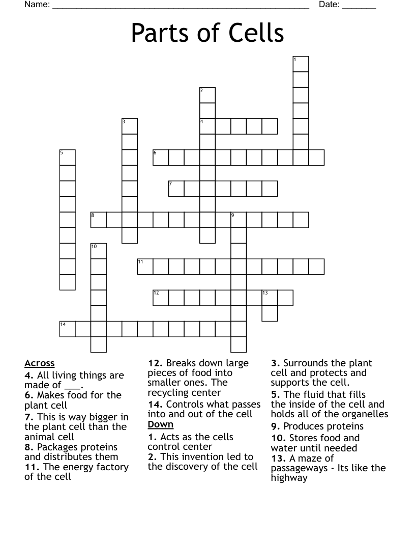 Parts of Cells Crossword