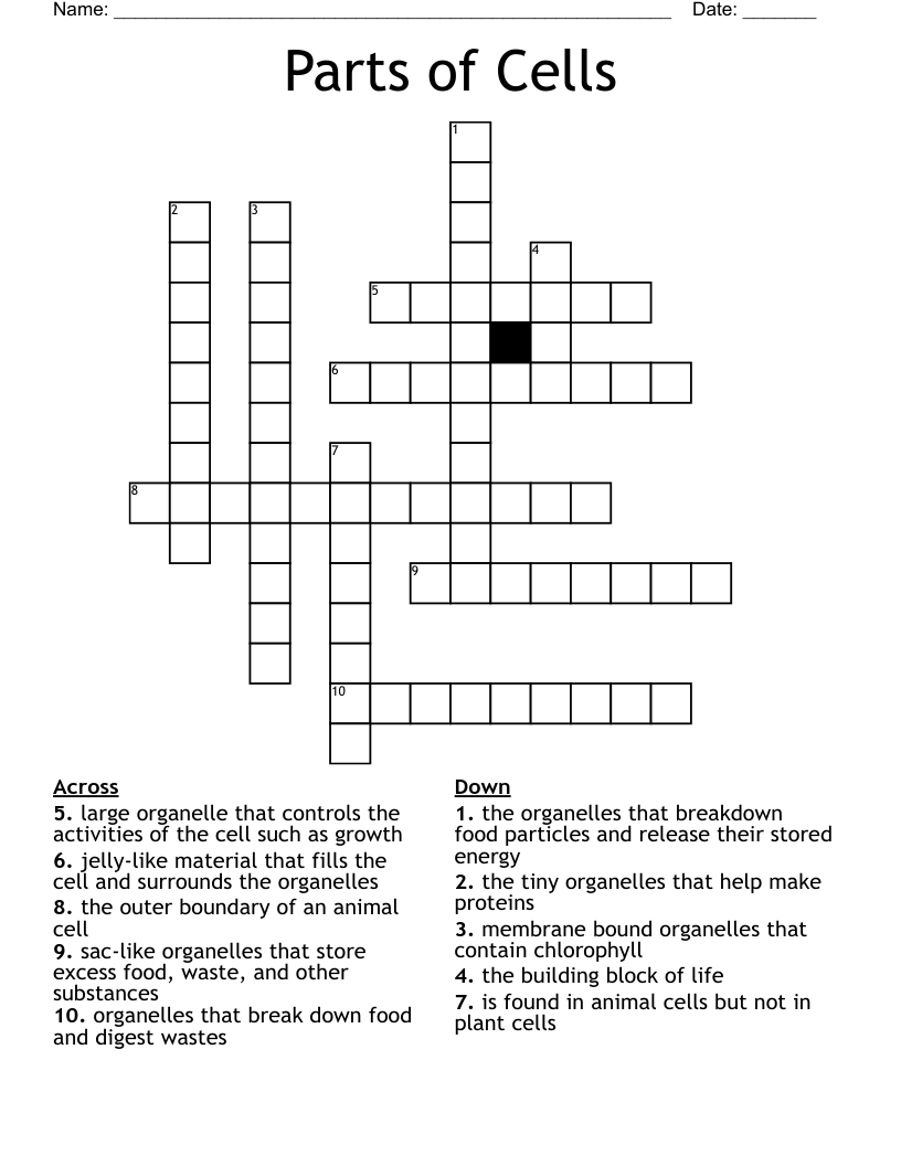 Parts of Cells Crossword
