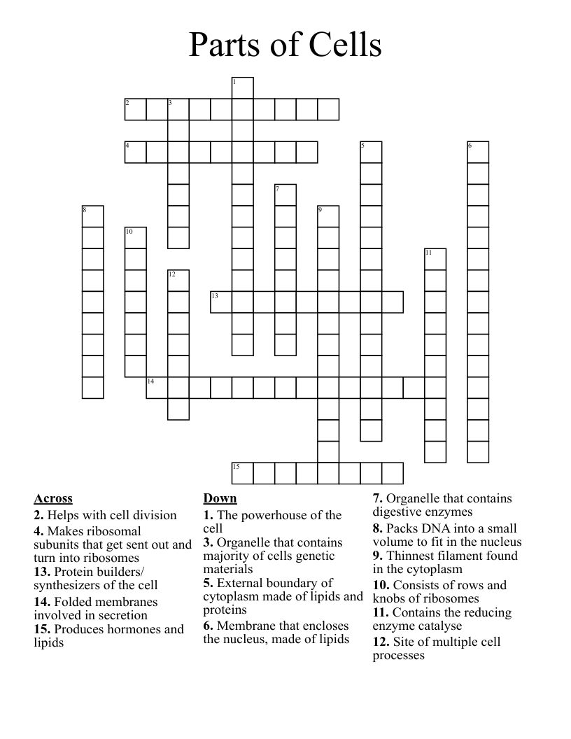 Parts of Cells Crossword