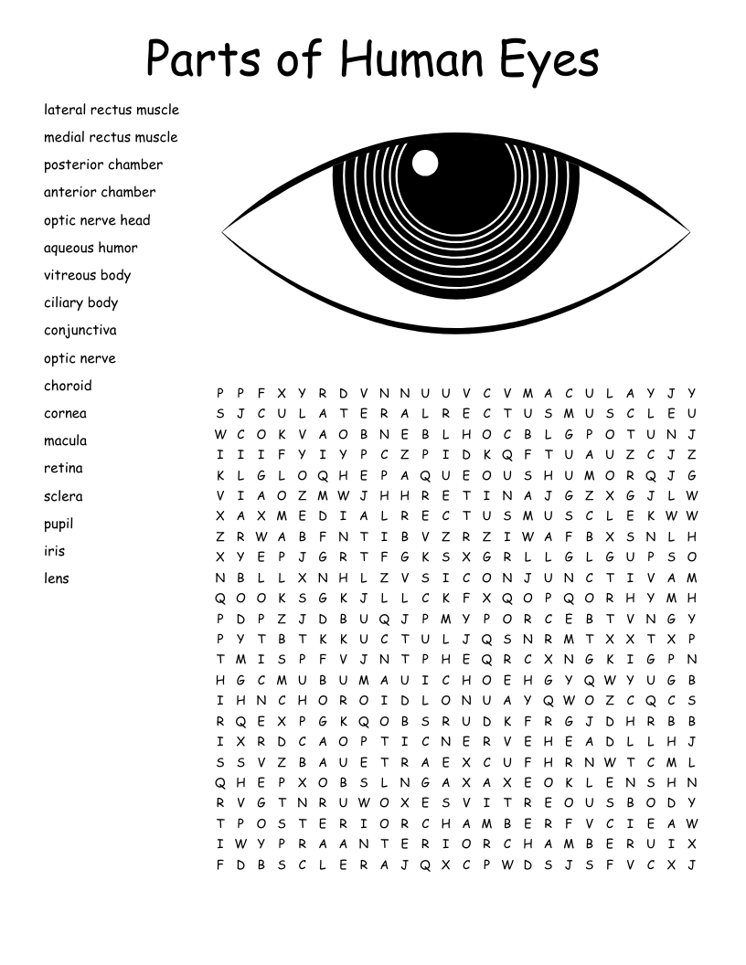 Parts of Human Eyes Word Search