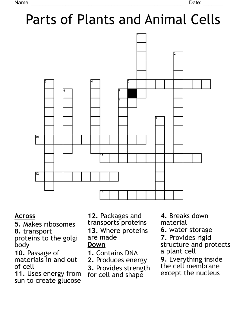 Parts of Plants and Animal Cells Crossword