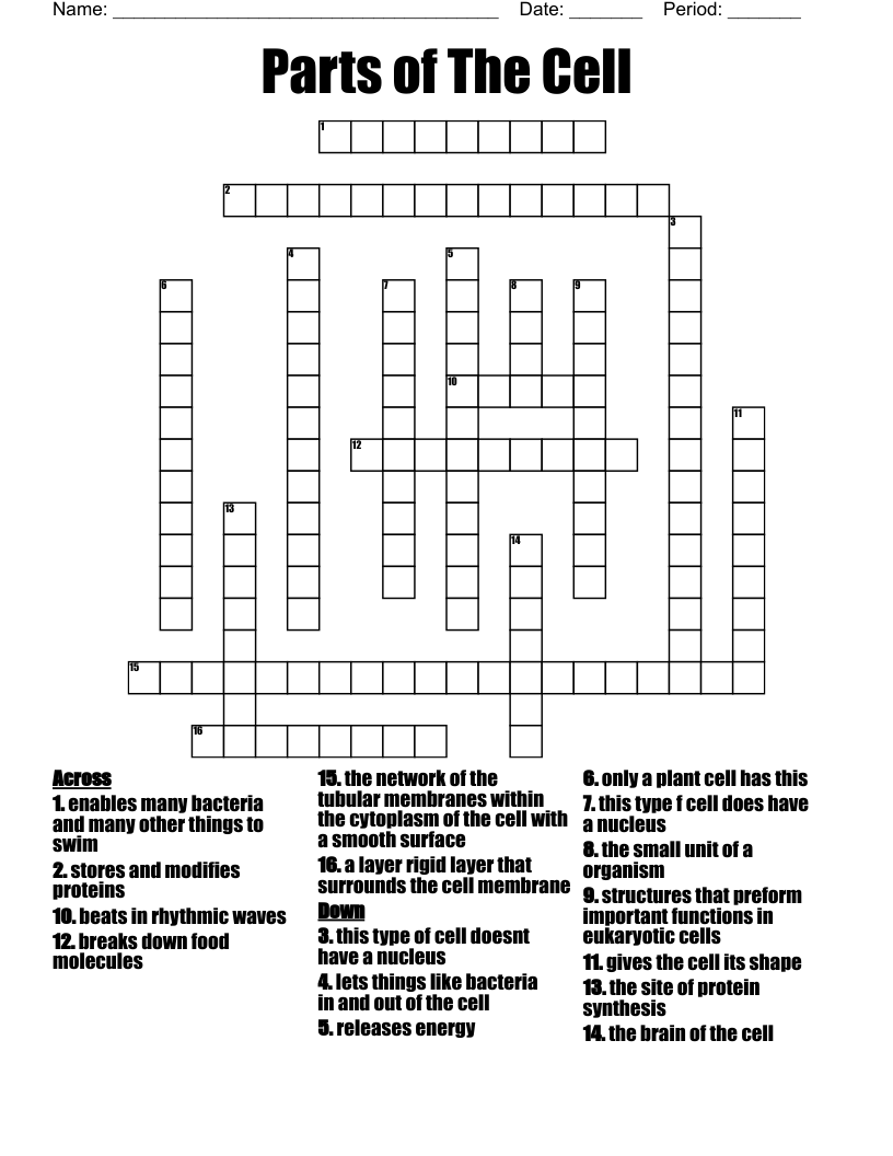 Parts of The Cell Crossword