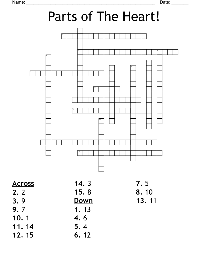 Parts of The Heart! Crossword