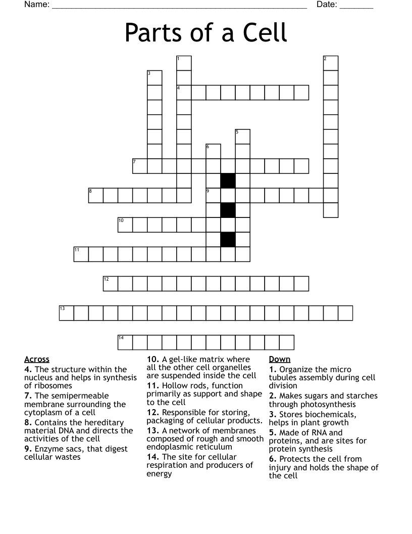 Parts of a Cell Crossword