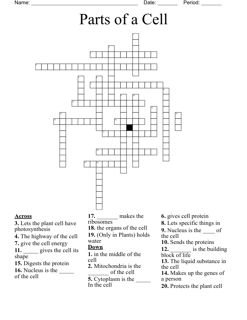 Parts of a Cell Crossword