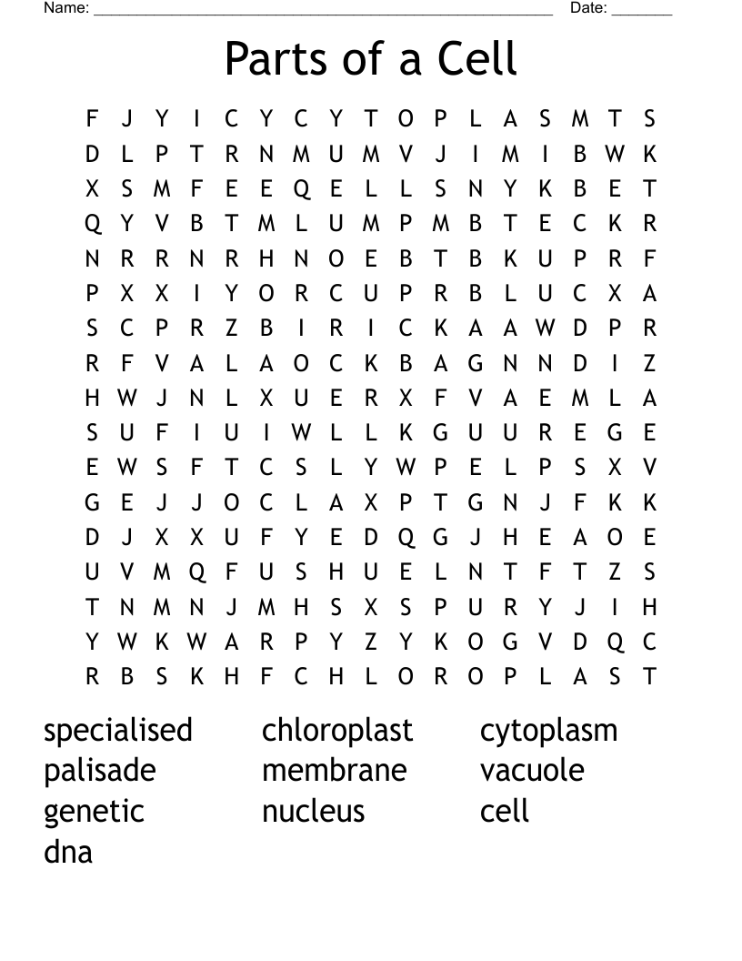 Parts of a Cell Word Search