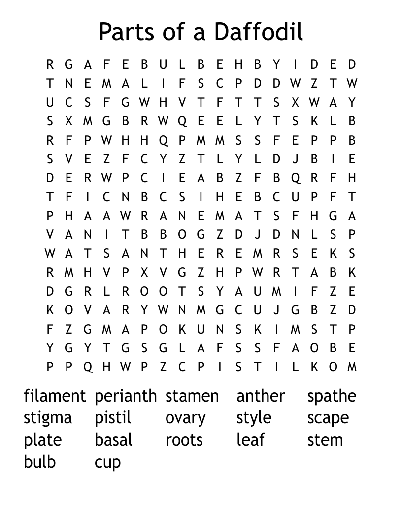 Parts of a Daffodil Word Search