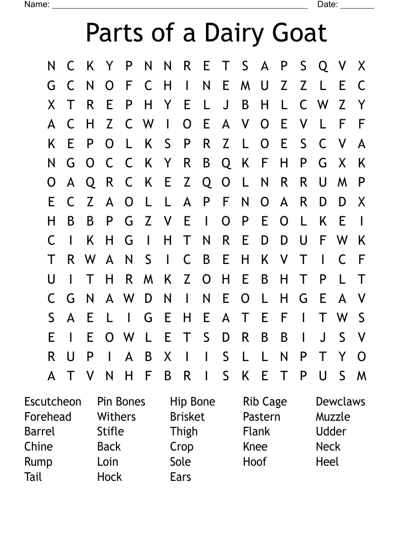 Parts of a Dairy Goat Word Search