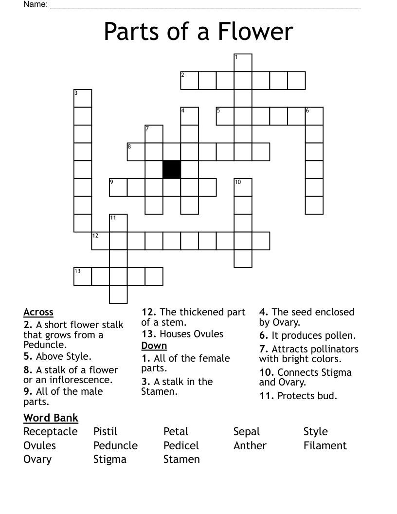 Parts of a Flower Crossword