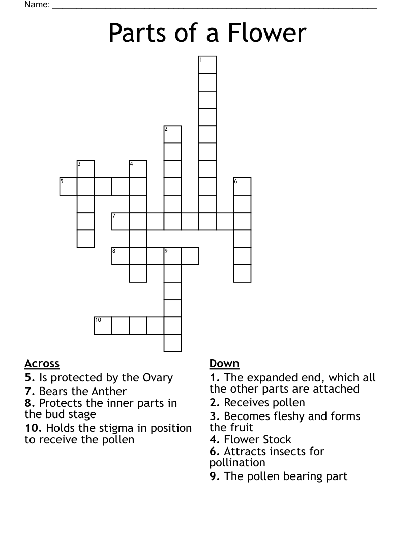 Parts of a Flower Crossword