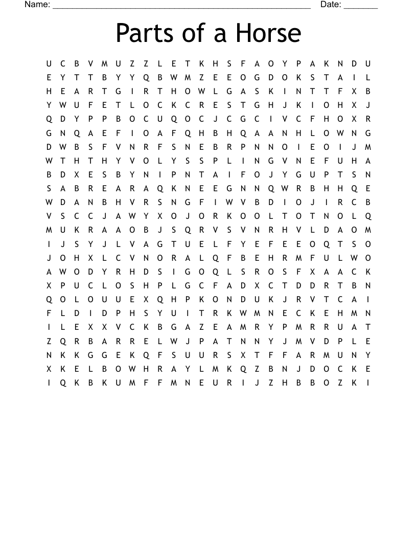 Parts of a Horse Word Search