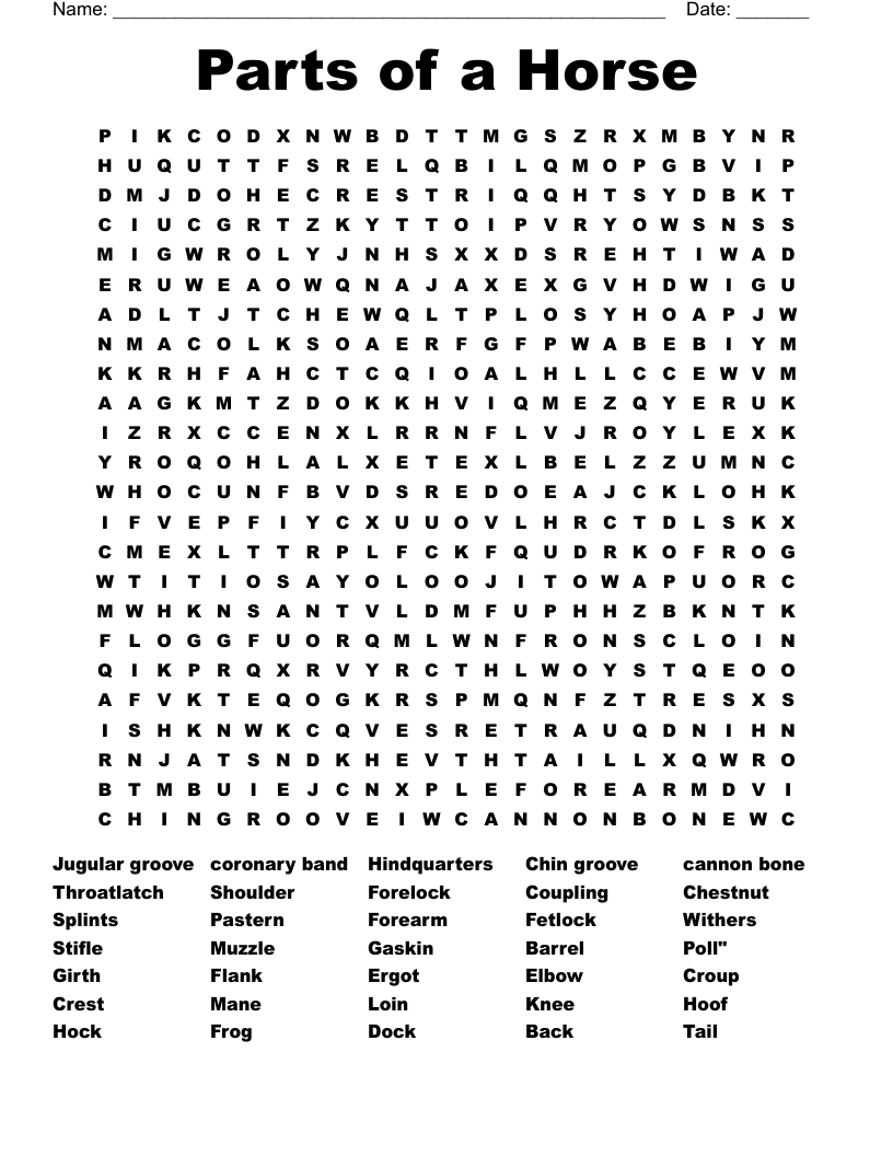 Parts of a Horse Word Search