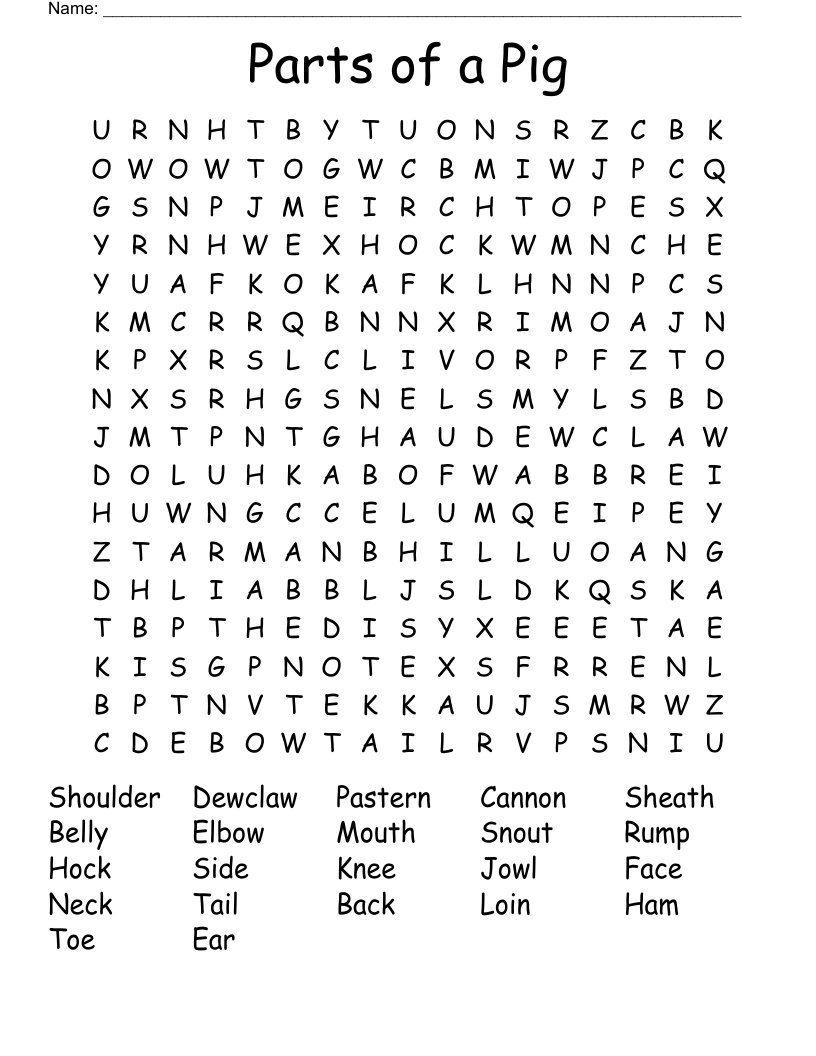 Parts of a Pig Word Search