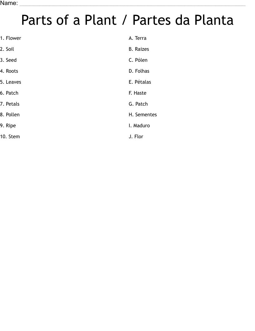 Parts of a Plant  /   Partes da Planta  Worksheet