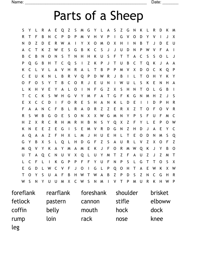 Parts of a Sheep Word Search