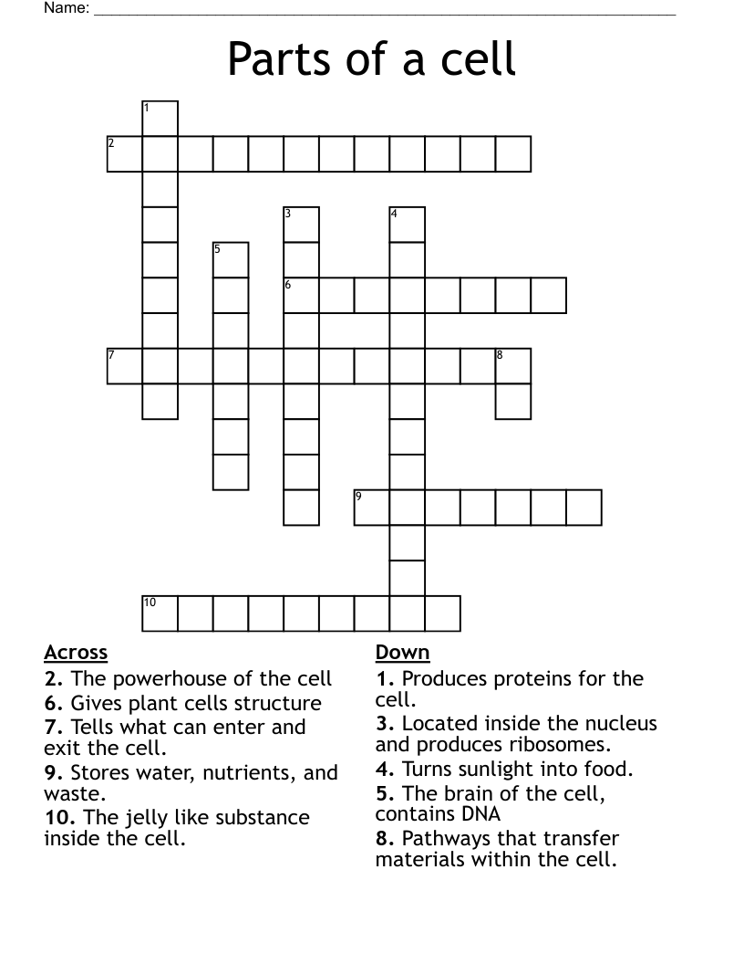 Parts of a cell Crossword