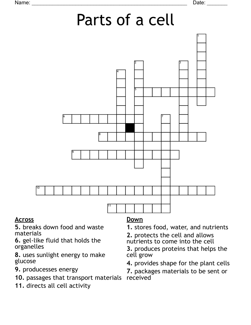 Parts of a cell Crossword