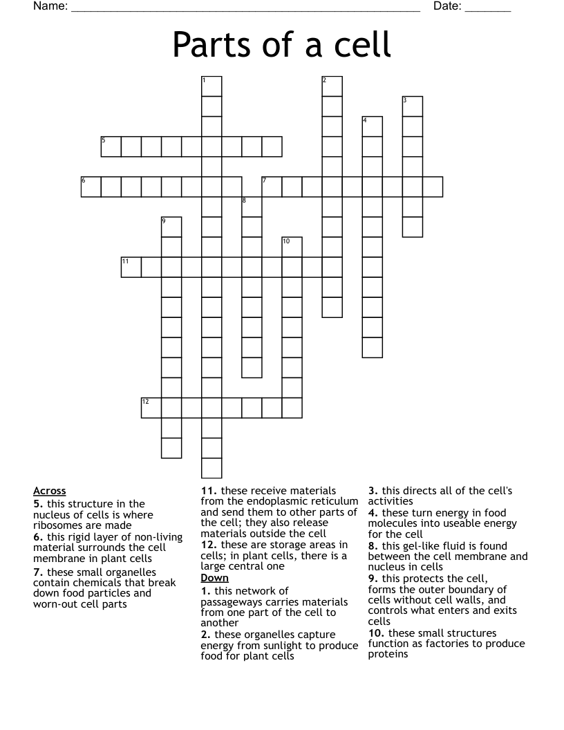 Parts of a cell Crossword