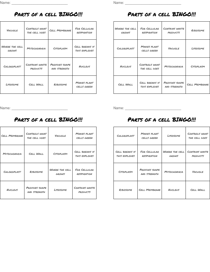 Parts of a cell BINGO!!!