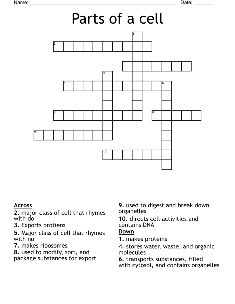 Parts of a cell  Crossword
