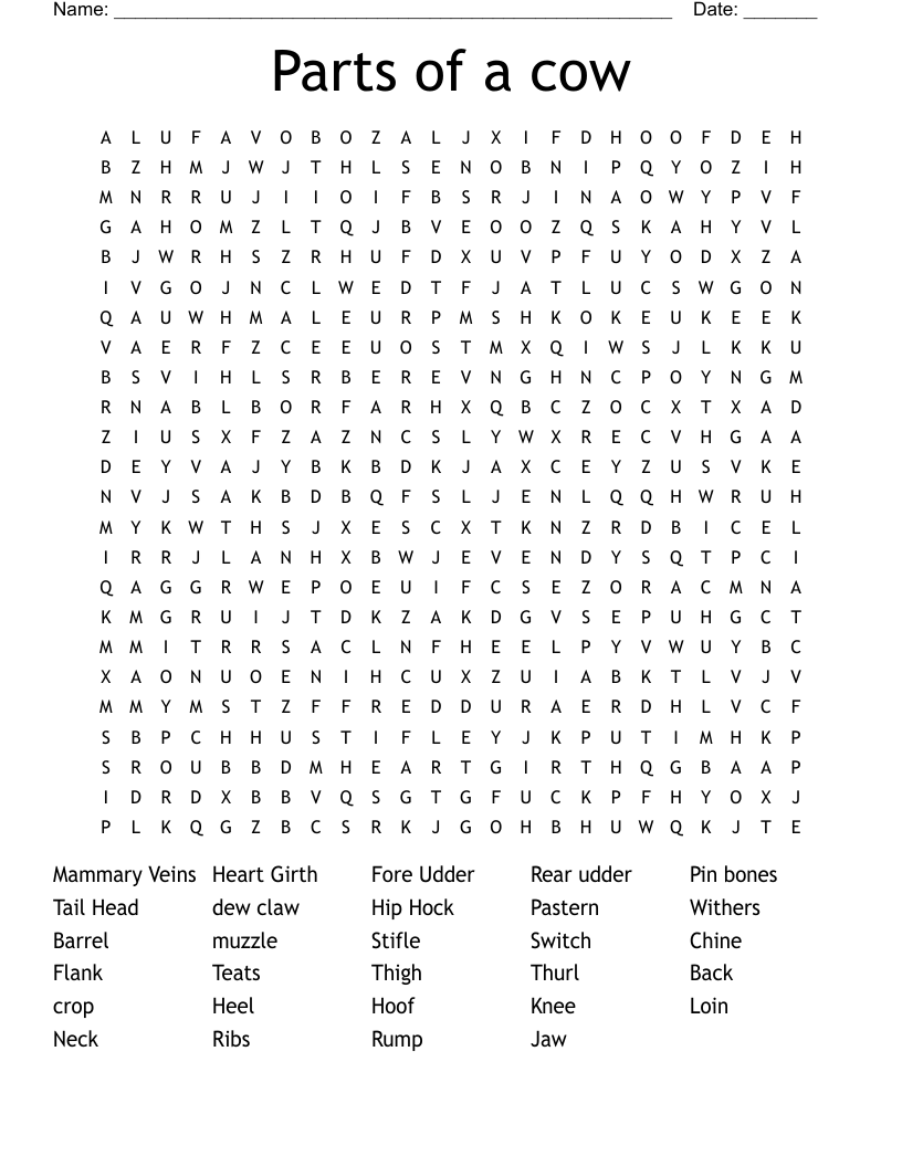 Parts of a cow Word Search