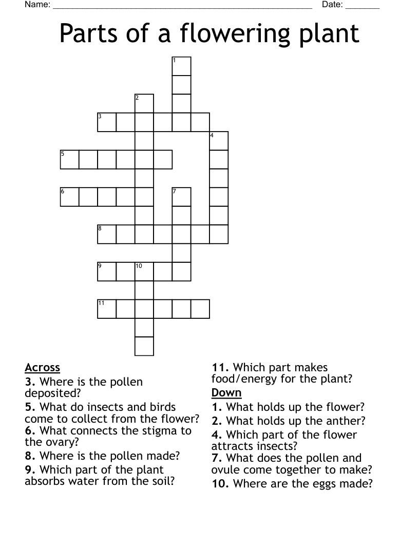Parts of a flowering plant Crossword
