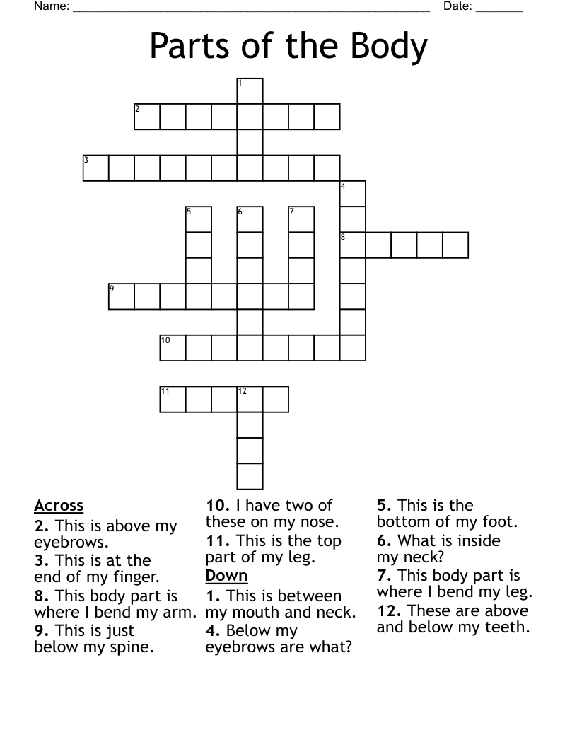 Parts of the Body Crossword