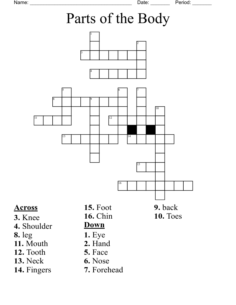 Parts of the Body Crossword