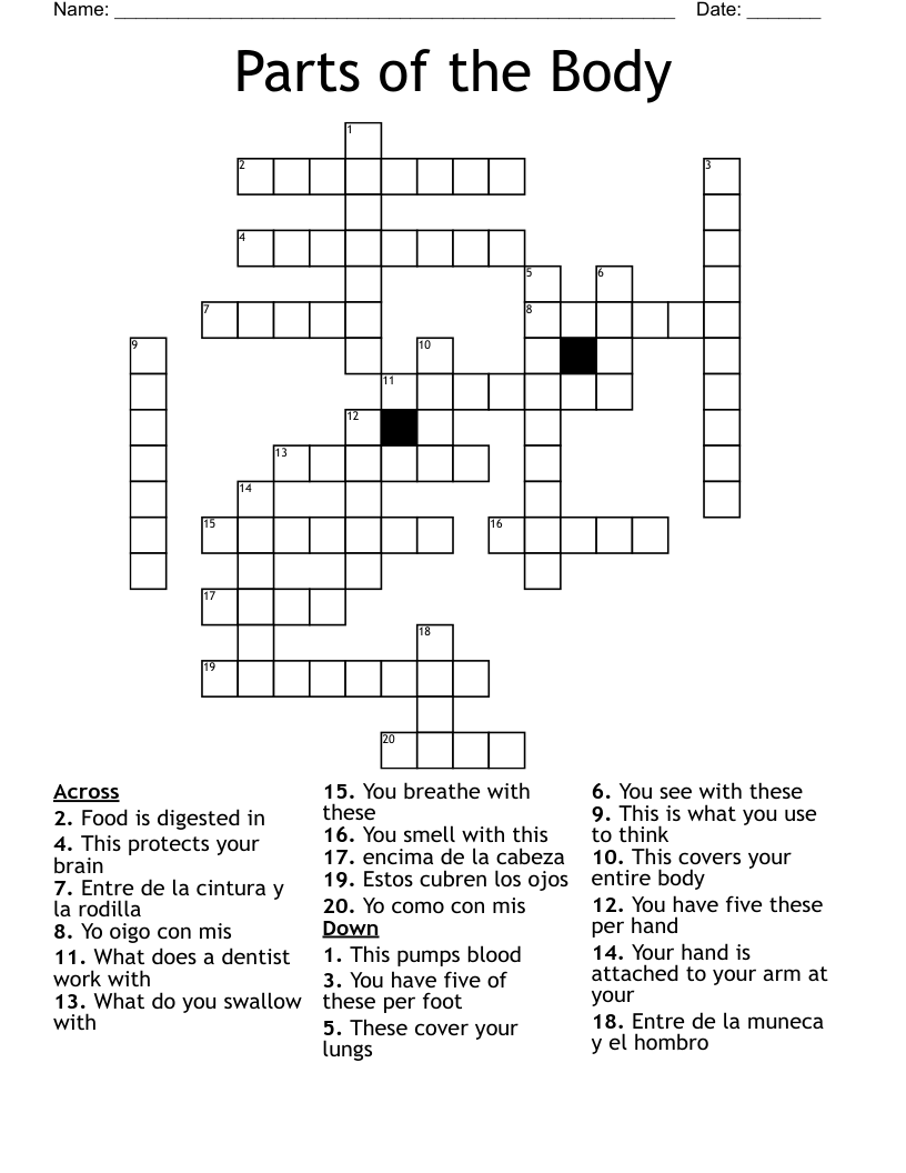 Parts of the Body Crossword