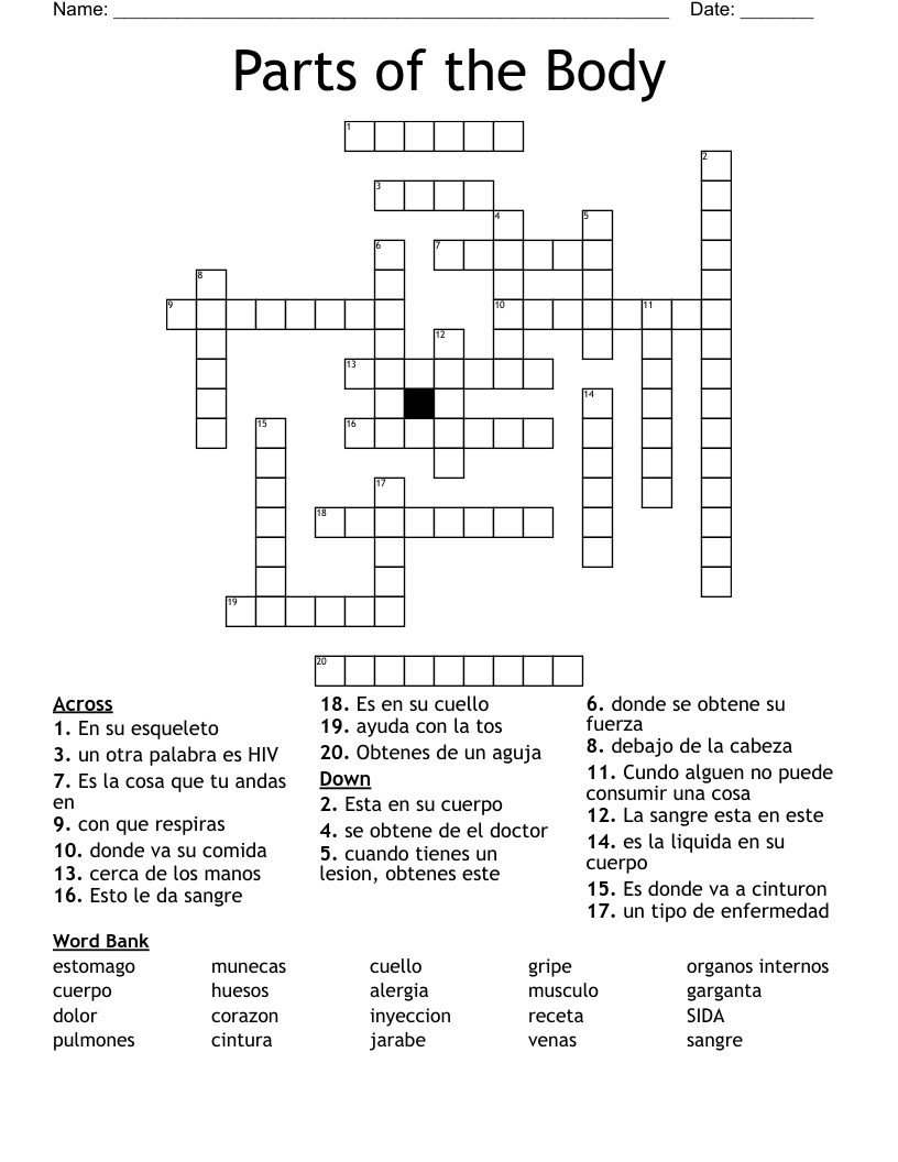 Parts of the Body Crossword