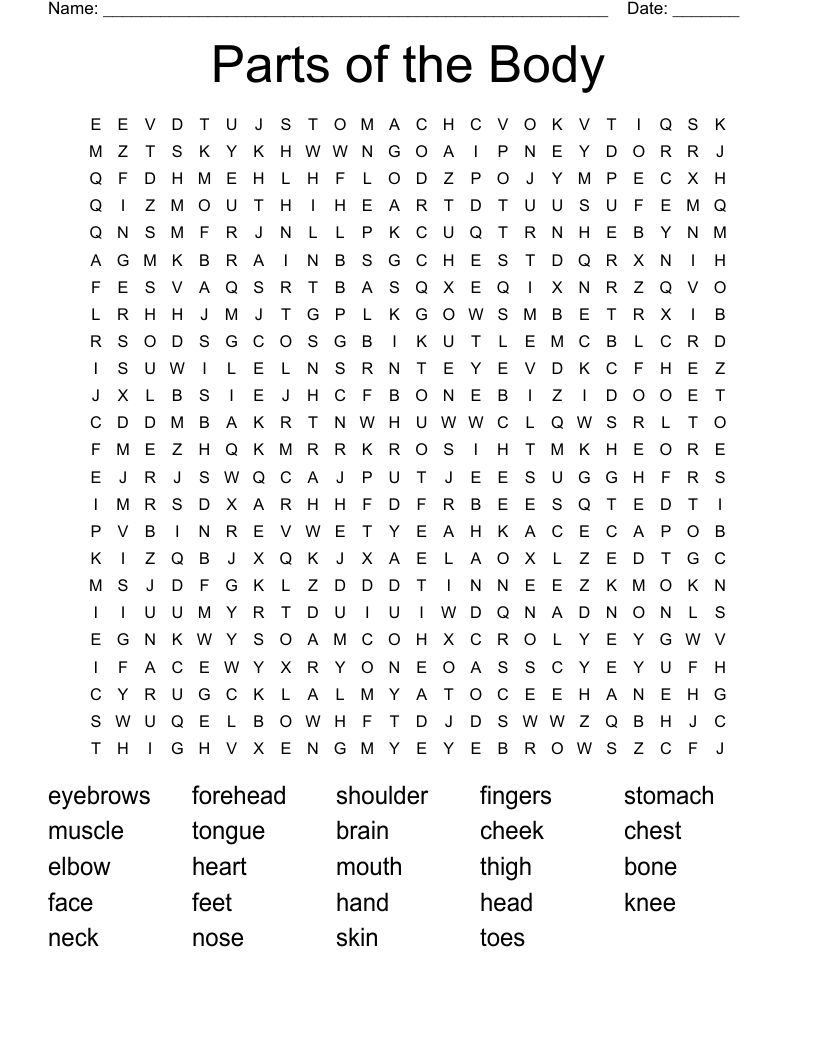 Parts of the Body  Word Search