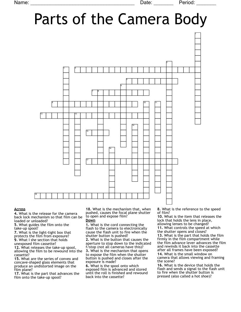 Parts of the Camera Body Crossword