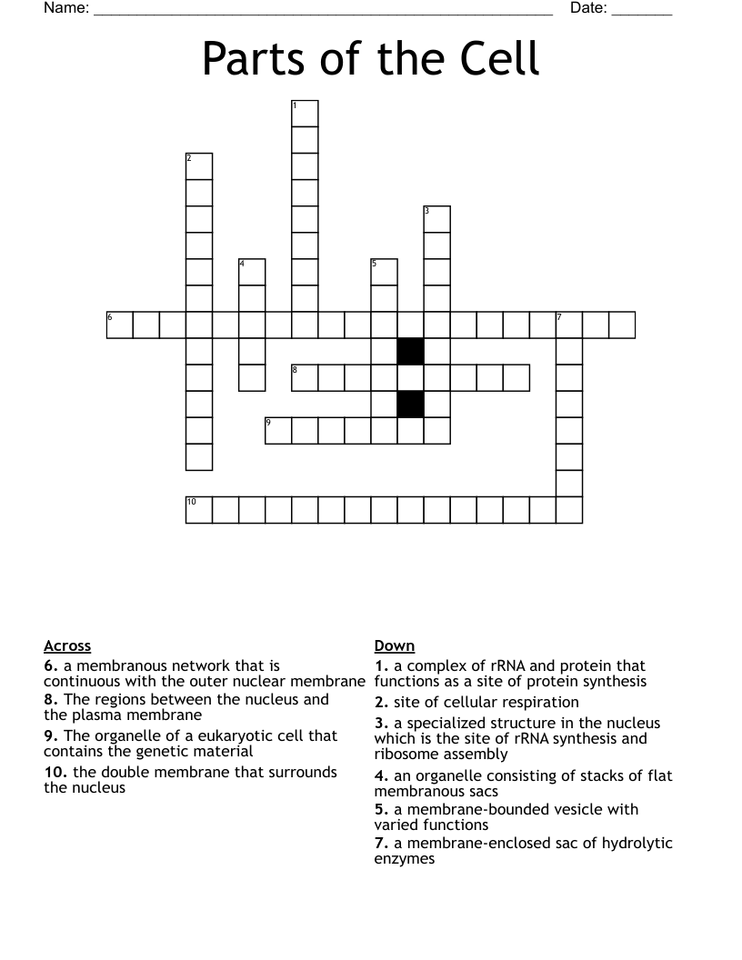 Parts of the Cell Crossword