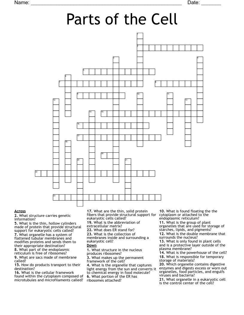 Parts of the Cell Crossword