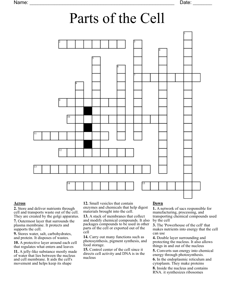 Parts of the Cell Crossword